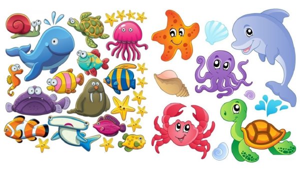 Мемори игра морские обитатели