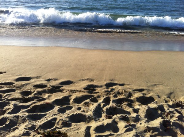 «Песчаный берег моря»сёра