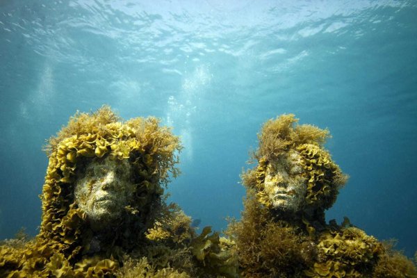 Красота черного моря