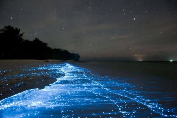 Красивая вода