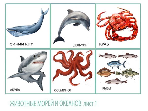 Морские животные для детей с названиями