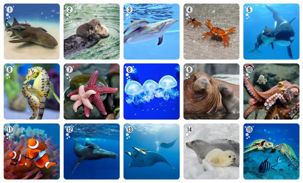 Ми-ми-Мемо "морские животные" арт.8053/36