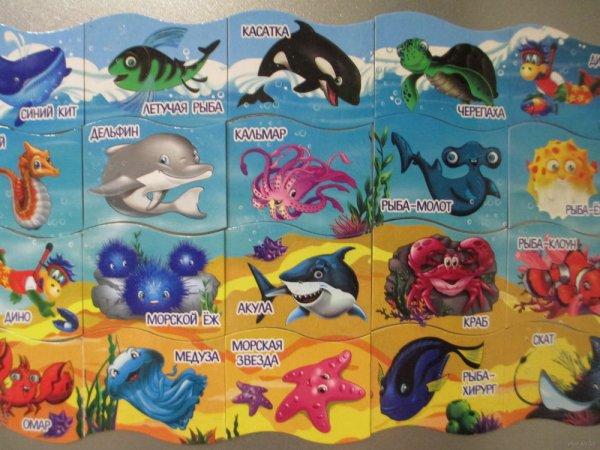 Плакат. Морские животные