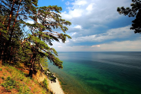 Реликтовый ельник Байкала