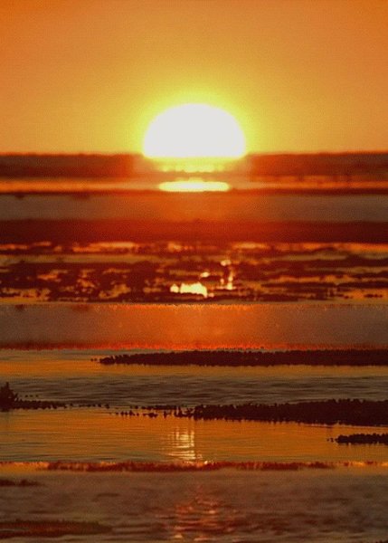 Солнечные лучи