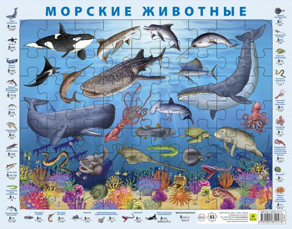 Руз ко / пазлы для детей на подложке. "Животные Австралии"