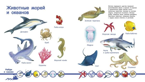 Мир животных. Энциклопедия малыша Куликовская т.