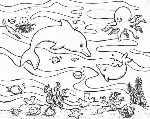 Раскраска морские обитатели