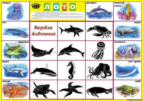 Лото морские обитатели