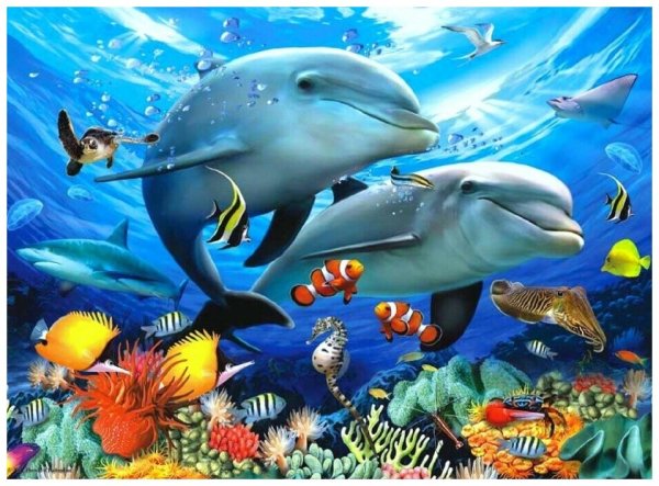 Подводные обитатели для детей