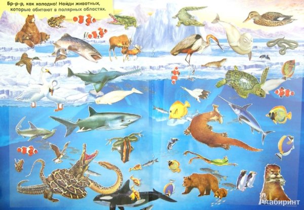 Водные обитатели для детей