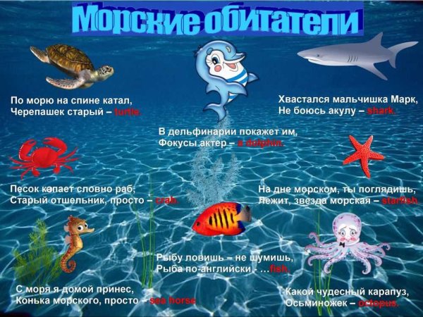 .Обитатели салёных водоёмов.