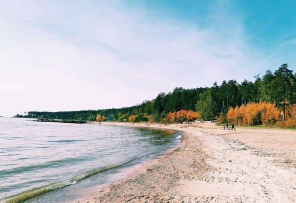 Обское водохранилище Новосибирск