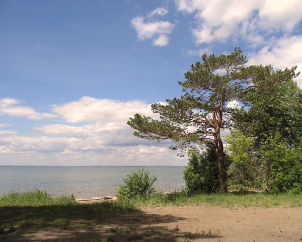 Обское море Ордынка