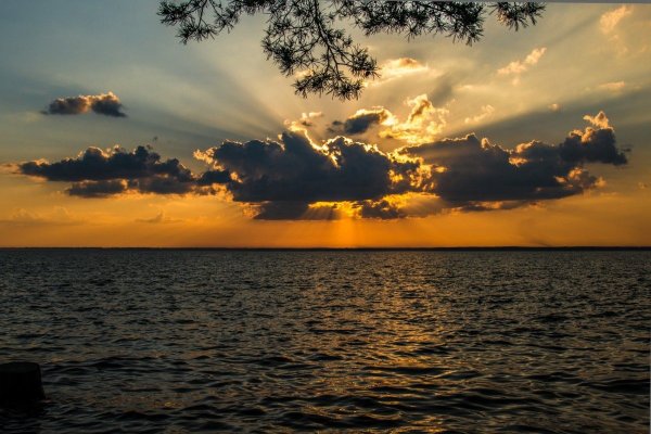 Обское водохранилище Бердск