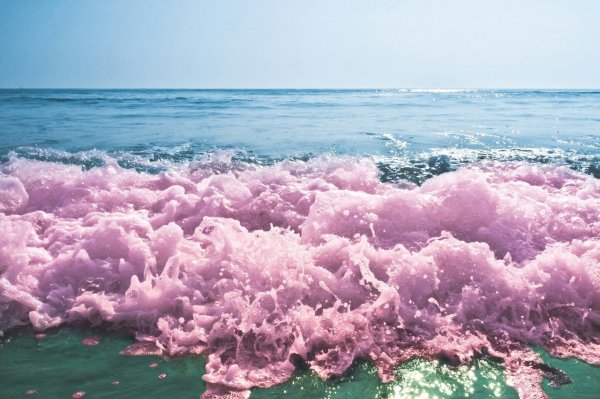 Розовое море