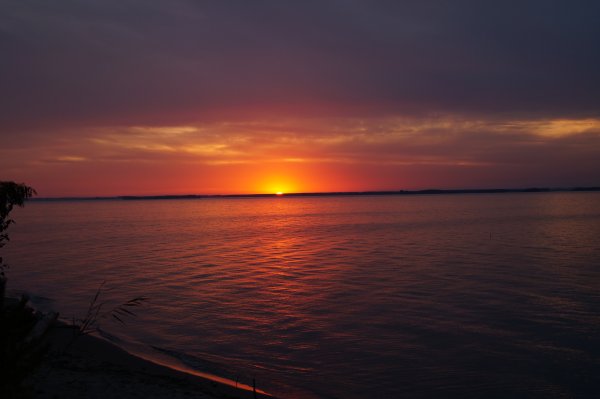 Обское водохранилище Бердск
