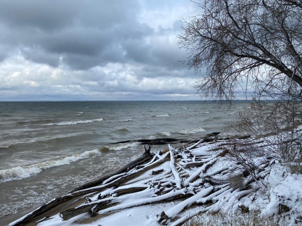 Берег Обского моря Бердск