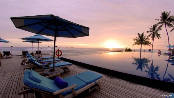 Море пляж шезлонг