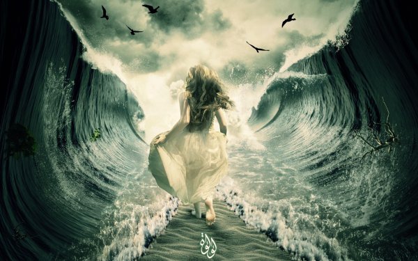 Дона Гелсингер картины