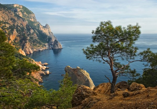 Мыс Фиолент в Крыму