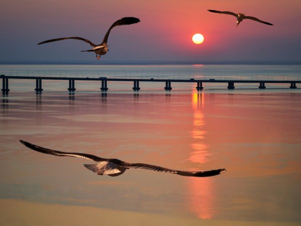 Солнце над морем