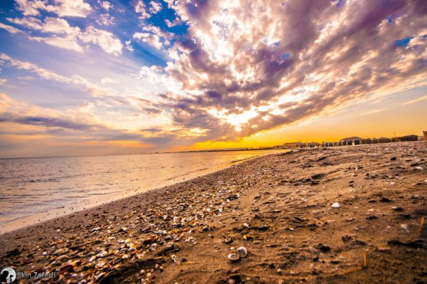 Берег Каспийского моря