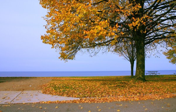 Черное море Сочи осень