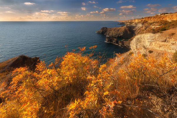 Черное море Сочи осень
