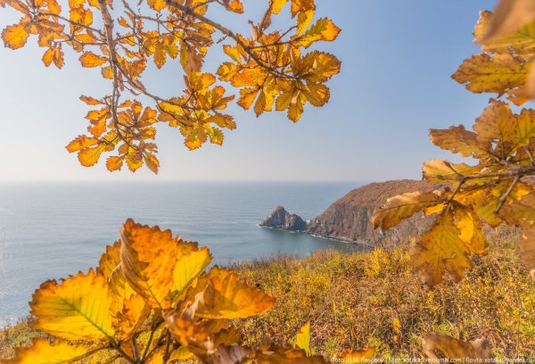Море осенью