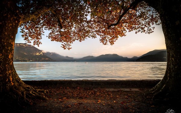 Осенняя природа Крыма