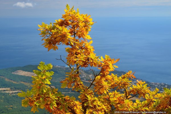 Море горы осень