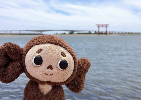 Чебурашка животное