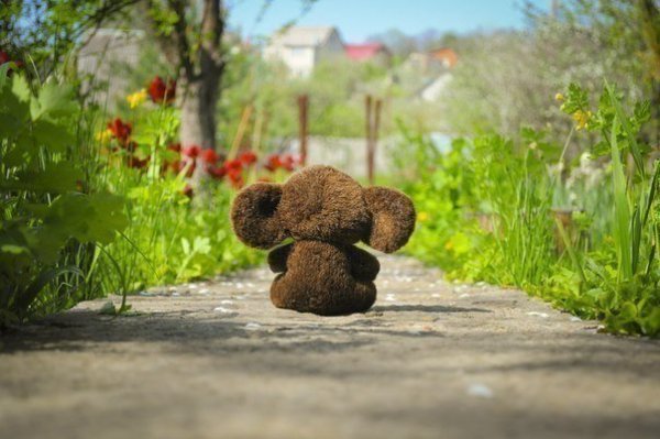 Веселый Чебурашка