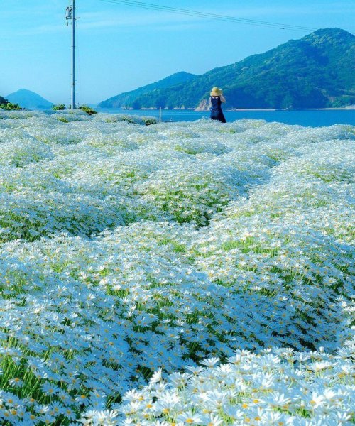 Венера Коршунова 59 лет Самара