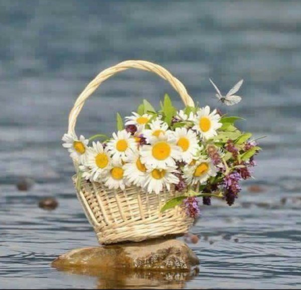 Цветы в лодке