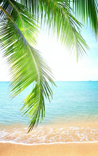 Летняя тематика