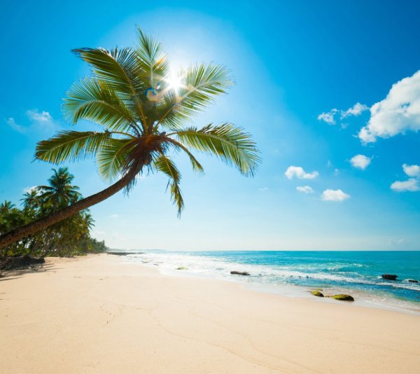 Море пляж пальмы солнце