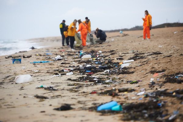 Загрязнение побережья