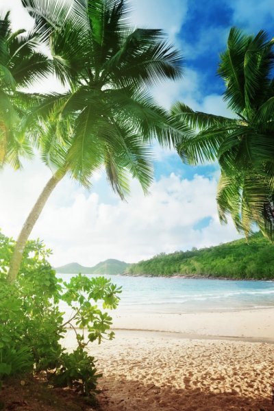 Мальдивы пляж