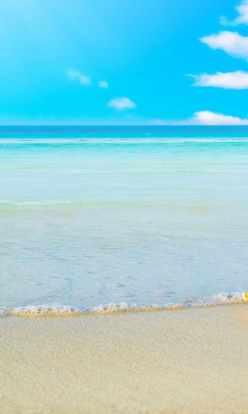 С тропический рай