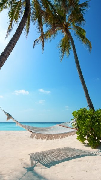 Море вертикально