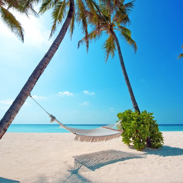 Райский остров