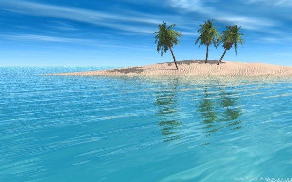 Мангры море