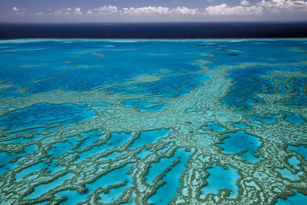 Большой Барьерный риф тихий океан