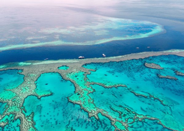 Австралия great Barrier Reef