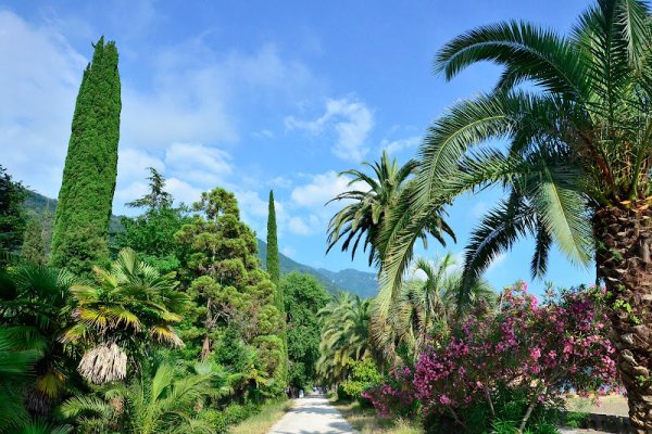 Гагра самое теплое место Черноморского побережья