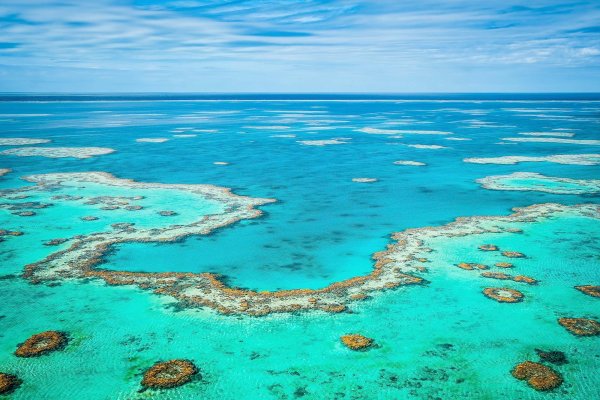 Большой Барьерный риф