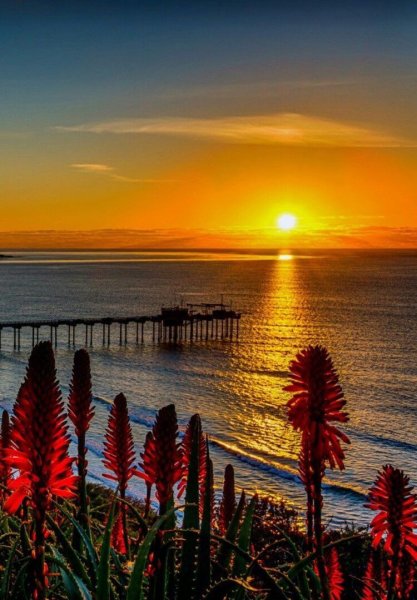 Приятного вечера на море