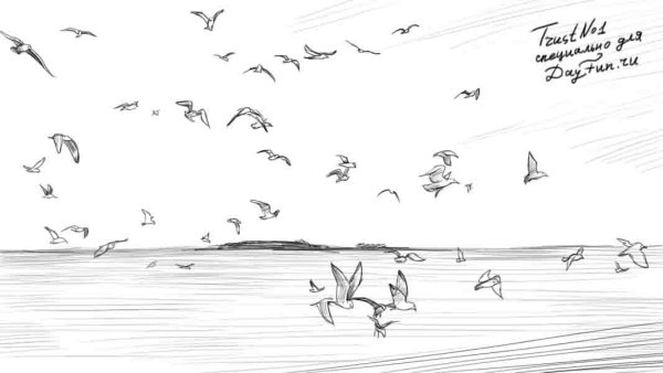 Море карандашом